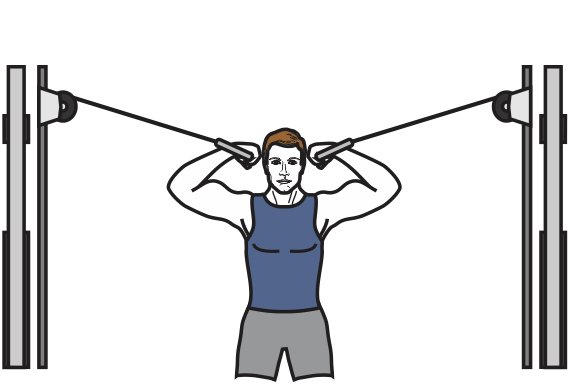 What Else Can You Do On a Cable Crossover? | Article | Poliquin Mobile