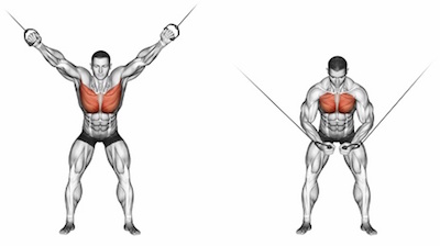 Exercise Database (Chest19) - Cable Crossovers — Jase Stuart - The Better Body Coach